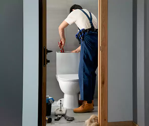 Professional Plumbers for Toilet Bowl Replacement in Lauderhill, FL: Schedule Affordable Toilet Replacement Services With Us