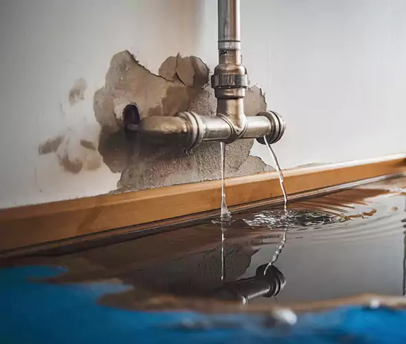 Professional Water Damage Restoration Experts in Lauderhill, FL — Fast, Reliable & Certified